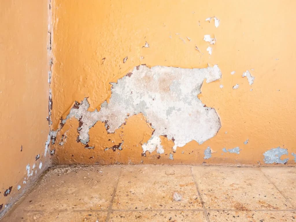 Water Damage in Brooklyn